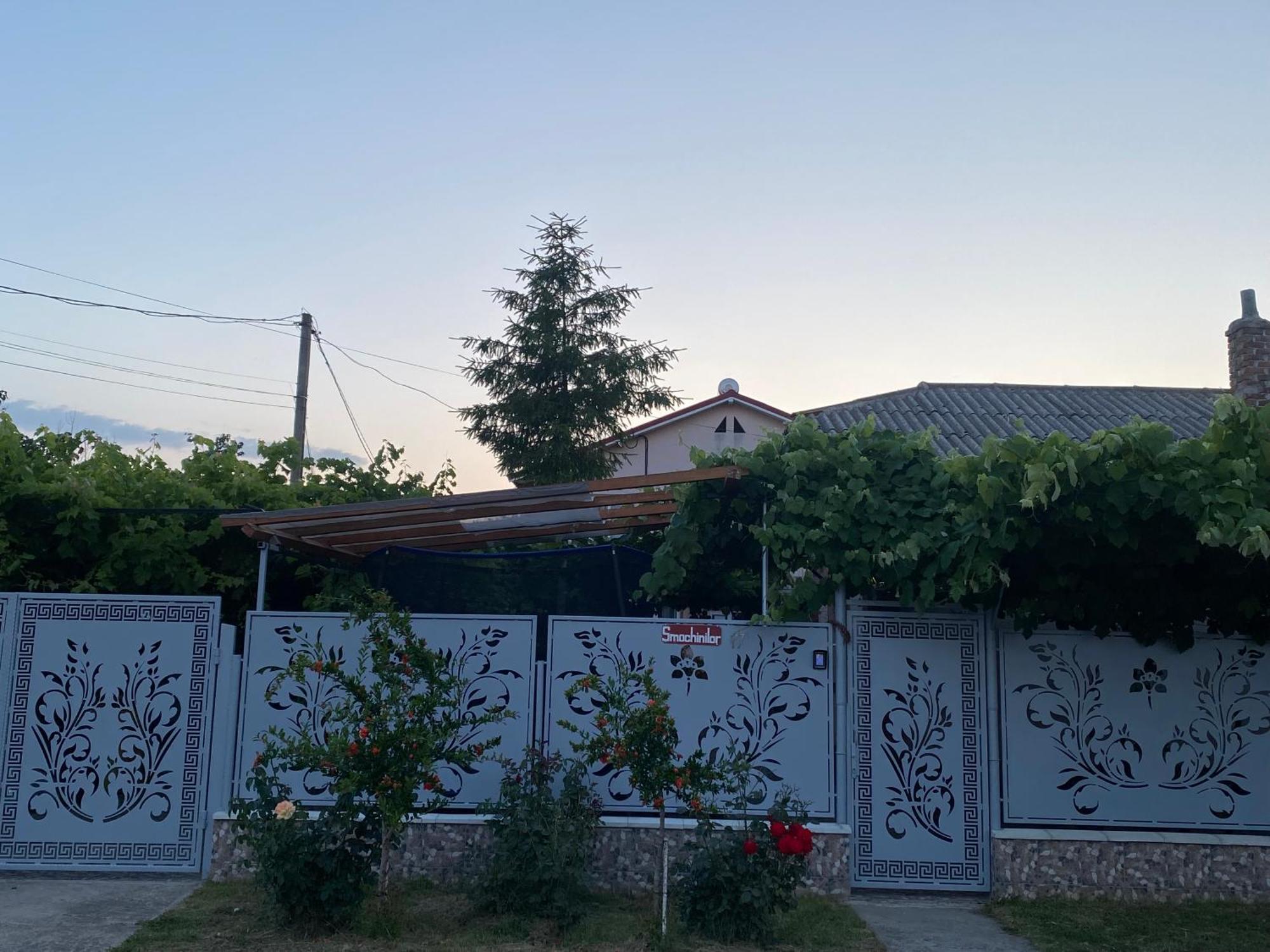 Casa Dasoveanu Hotel Costinesti Bagian luar foto